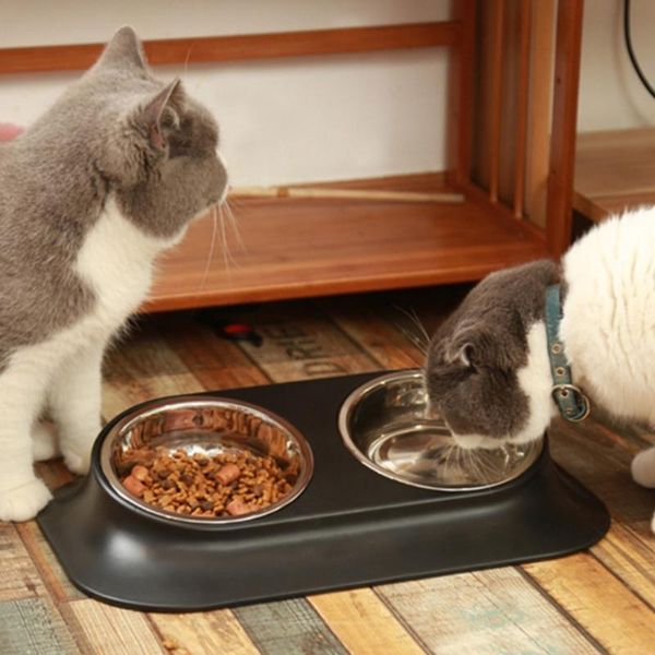

cat bowls & feeders a9lb stainless steel single/double 15Â° tilted raised food water pet cats feeder
