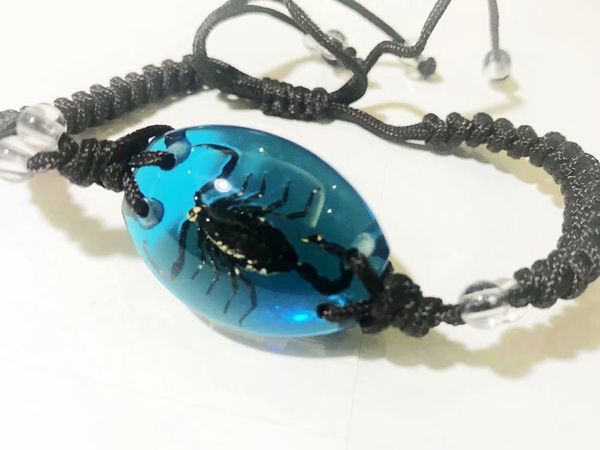 

3 pcs fashion real black color scorpion king blue back bracelet