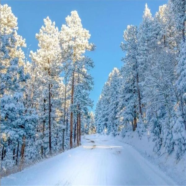 

wallpapers custom snow tv background wall decoration painting 3d landscape wallpaper