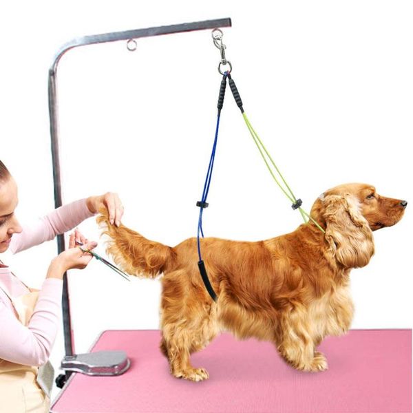 

dog collars & leashes pet cat grooming loop table adjustable leash for standing training