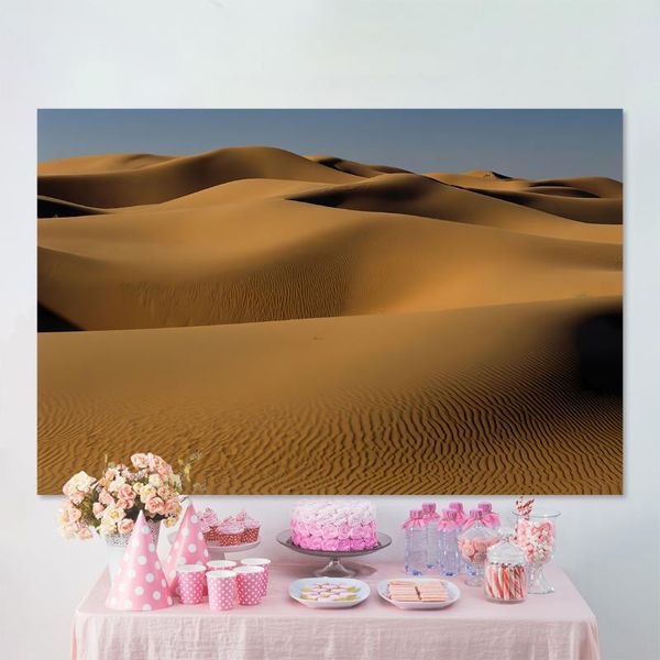 

party decoration desert backdrop po studio pography background wall decorations