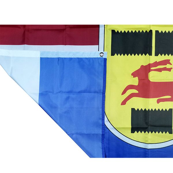 

flag of netherlands football club sc cambuur leeuwarden 35ft 90cm150cm polyester flags banner decoration flying home garden
