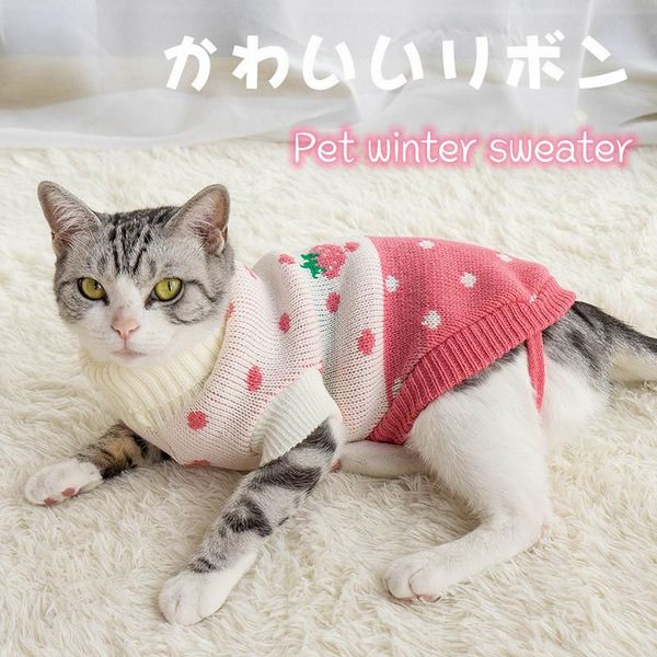 

dog apparel 2021 winter cute strawberry cat sweater clothes pet small