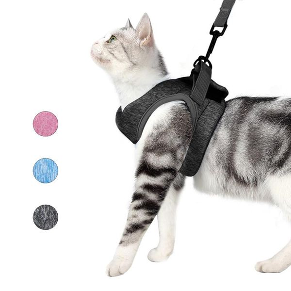 

cat harness pet chest for small dog walking escape proof collars & leashes