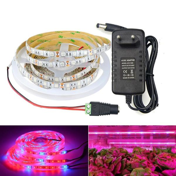 Streifen Zimmerpflanze Licht LED Streifen Wachsen Lampe Phytolamp Band Gemüse Blume Phytolent Für Pflanzen Samen EU US Stecker