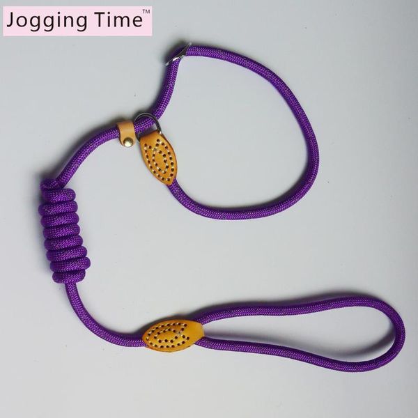 

nylon reflective dog leash pet leashes safety 150 cm long outdoor walking runing jogging training for small medium large dogs collars &