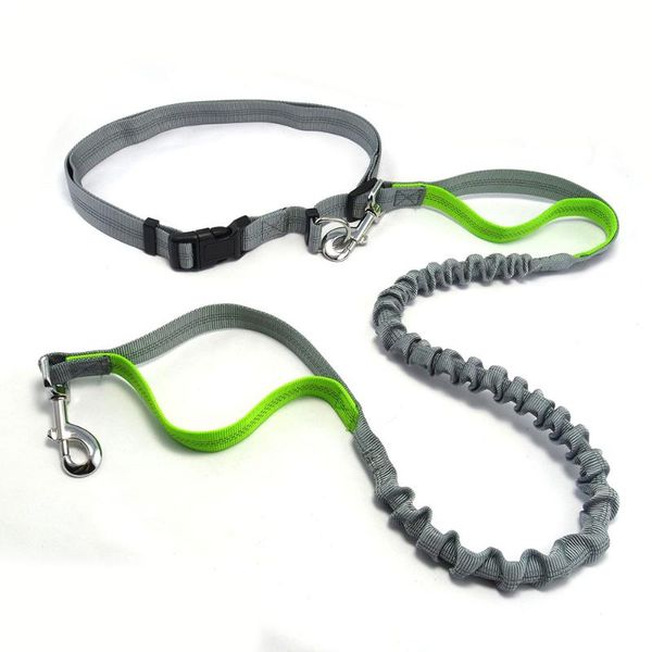 

dog collars & leashes elastic nylon belt running leash and waist set reflective hands leads sports jogging walking lead for all pet