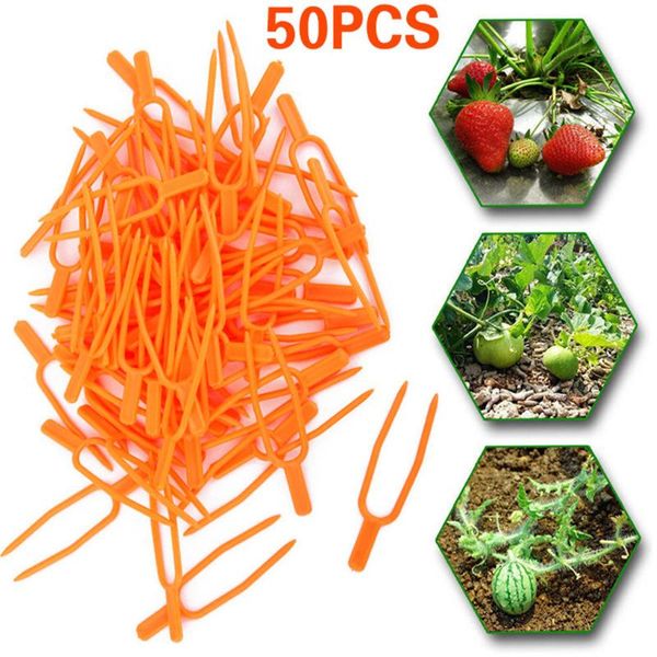 

other garden supplies plastic quality plant clips 50pcs/set fixing fastening fixture clamp strawberry fork farming clip support
