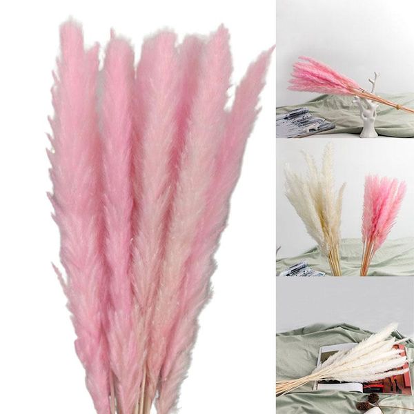 

decorative flowers & wreaths artificial decorations 15pcs natural dried pampas grass reed flower bunch wedding bouquet decors home living ro
