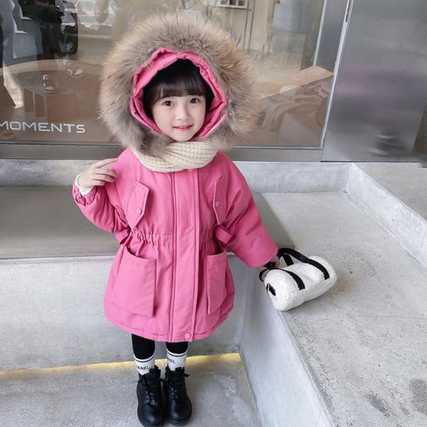 

jackets j5142, Blue;gray