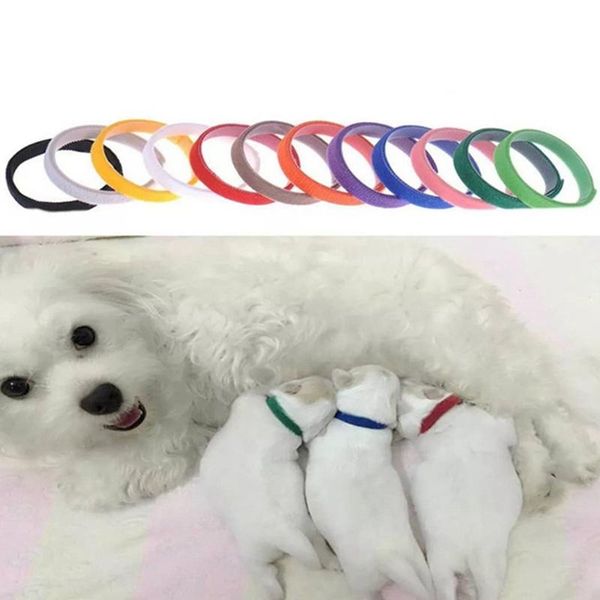 

cat collars & leads 12pcs/set pet different colors soft identification mark for cats dogs puppies kitten