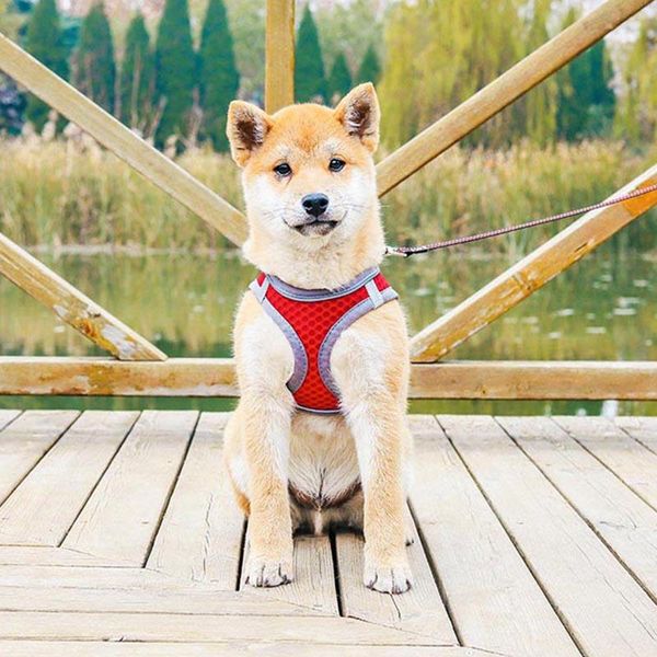 

dog apparel harness vest with leash set reflective pet chest mesh breathable for cats small medium supplies