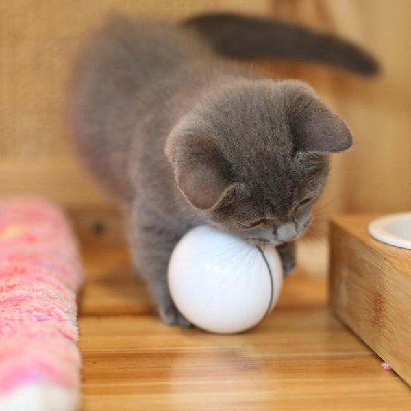 

cat toys smart interactive toy usb rechargeable led light 360 degree self rotating ball pets playing motion activated