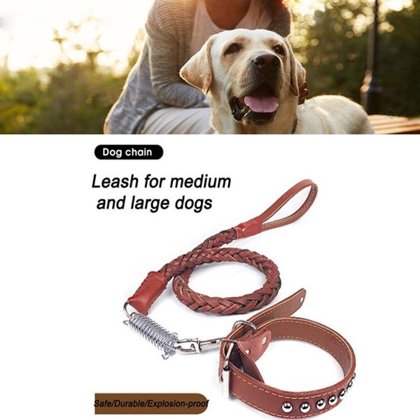 

dog collars & leashes pet leash cowhide spring eight-strand braided collar medium and large 2021 est