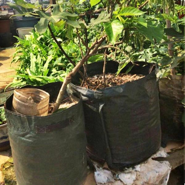 

planters & pots diy potato grow planter pe cloth planting container bag vegetable gardening for home garden plant transplanting