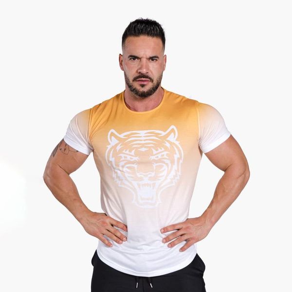 

men's t-shirts fitness clothes sports t-shirt muscle tights men's high elastic training short sleeve, White;black