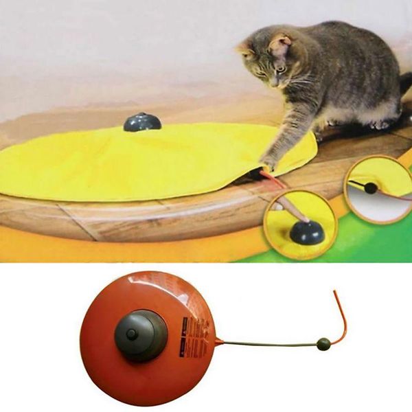 

17*21*21cm plastic toys for cats play plate style one color pet toy cat keep the ready ywt