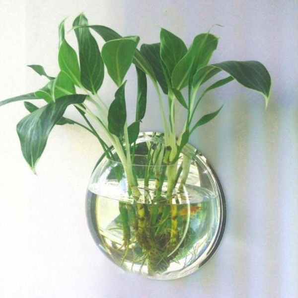 

aquariums nordic style 29.5cm transparent acrylic hanging wall mounted fish tank goldfish vase aquarium plant ecology pot home decoration