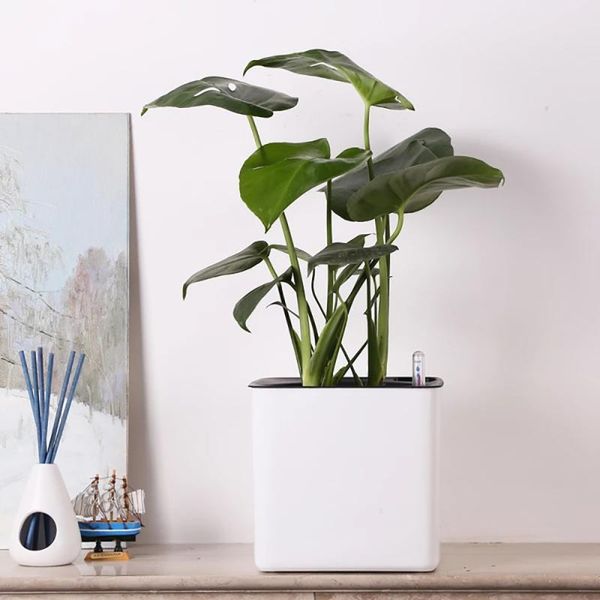 

planters & pots 2021 square lazy flower pot self-watering plastic flowerpot office home garden deskplant + water level indicator