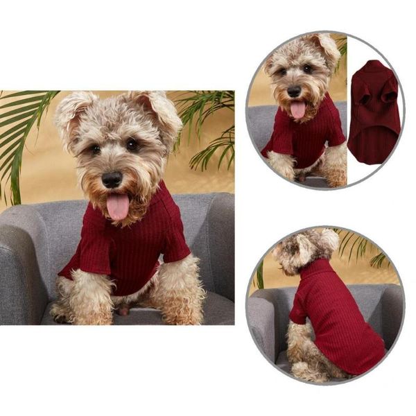 

dog apparel excellent puppy shirt anti-fade long lasting adorable pet 2-legged pullover winter clothing clothes costume