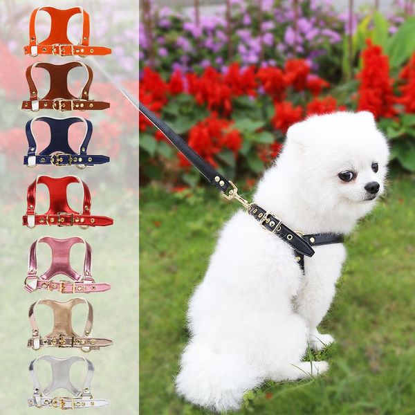 8 Farben Mode Luxus Katze Hundehalsbänder Leinen Set Haustiere Geschirre Retro Leder Haustierhalsband Designer Gürtel Pudel Schnauzer Kleine Hunde Seilhalsband Golden