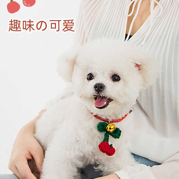 

small dog tag cat tag bell collar dog necklace cute jewelry