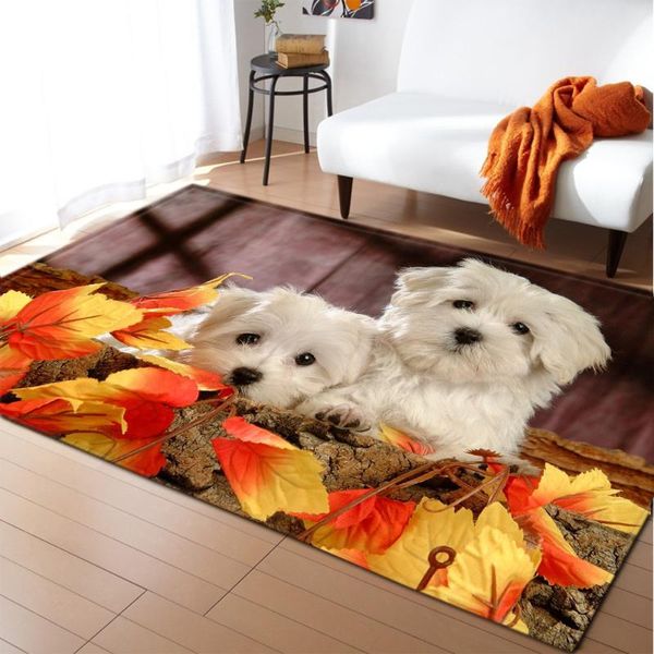 

carpets for living room decoration children's bedroom bedside floor mats home hallway balcony kids bathroom anti-slip large rugs