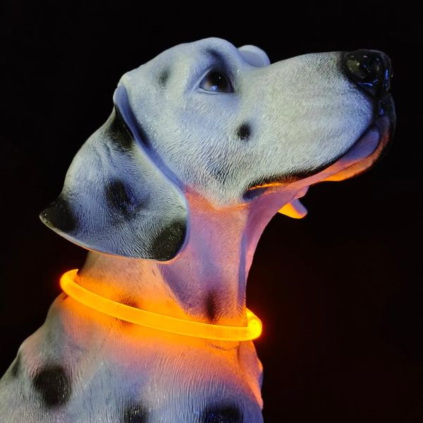 

cat collars & leads led harness for dogs dog collar with light cc simon 2021