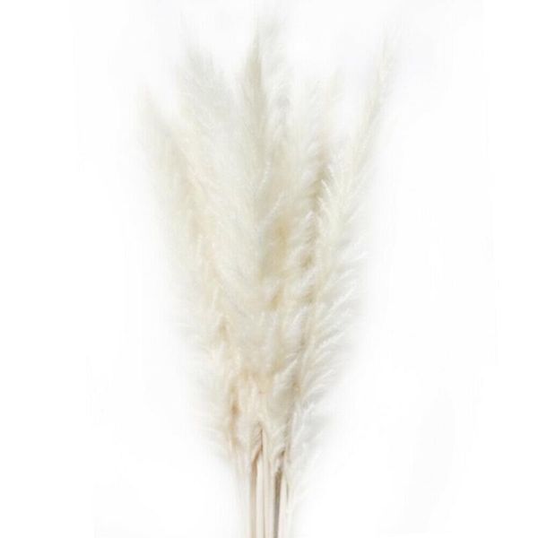 

decorative flowers & wreaths 15 pcs/bunches dried small pampas grass phragmites communis decoration for home el wedding e2s