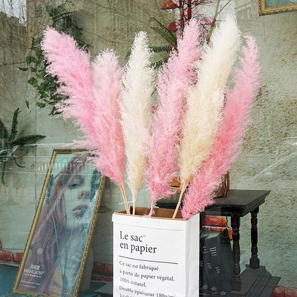 

80cm natural dried big pampas grass phragmites wedding ceremony home reed decor plants valentine's day party decoration decorative flow