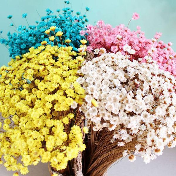 

decorative flowers & wreaths 30 pcs/bag decor real dried diy flower garland making scrapbooking accessories decoration resin