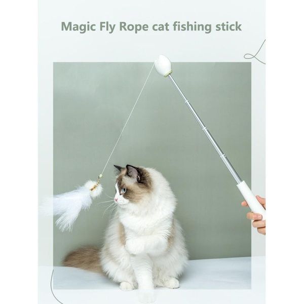 

cat toys double head lasering teasers rod retractable pen toy for pet