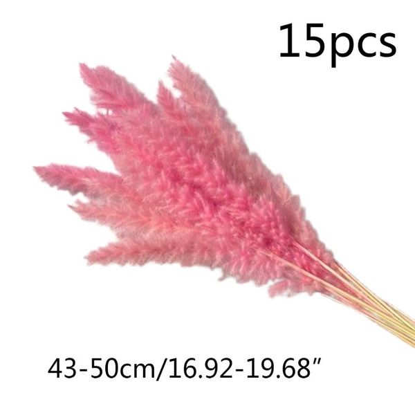 

decorative flowers & wreaths 15pcs small reed plumes bouquet natural dried flower pampas dog tail grass phragmites plants wedding bunch home