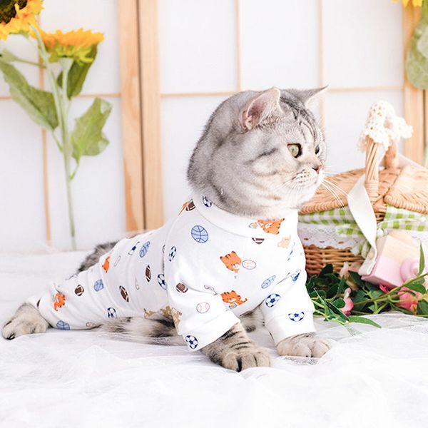 

cute cat cloth spring thin summer net red anti hair english short be pet kitten