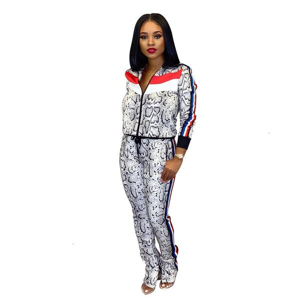 

long women's tracksuits ym-8508 sleeve printed coat sports suit ribbon two piece set, Gray