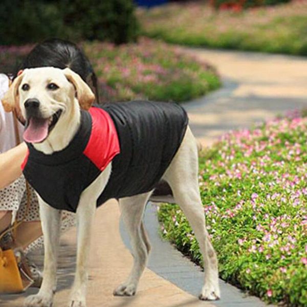 

dog apparel winter pet clothes warm large coat waterproof jacket for small medium size gold retriever