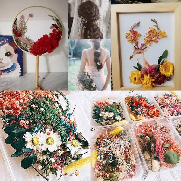 

box real dried flower dry plants for candle epoxy resin pendant necklace jewelry making craft diy accessories decorative flowers & wreaths