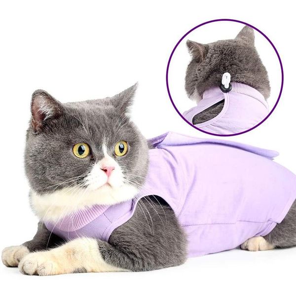 

cat costumes recovery suit for abdominal wounds or skin diseases e-collar alternative cats and dogs after wear pajama