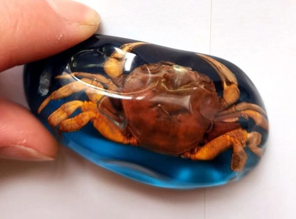 

12 pcs cool keychain real crab insect blue color fashion ring jewelry, Slivery;golden