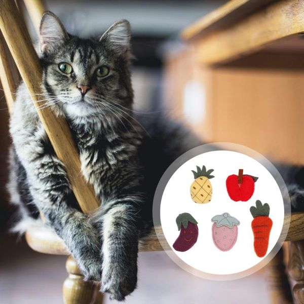 

cat toys 5pcs catnip pet chew plush kitten tooth grinding cleaning supplies