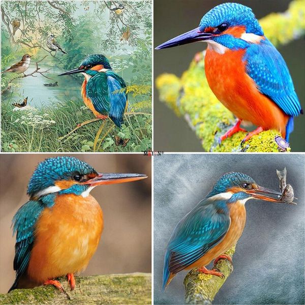

diamond painting meivn 5d diy cute kingfisher bird full square embroidery animal rhinestones pictures crafts kit
