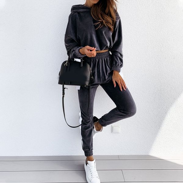 

women's tracksuits veet hooded sweatshirt long pant women sets high waist elastic track pants autumn winter loose short pullover 2, Gray