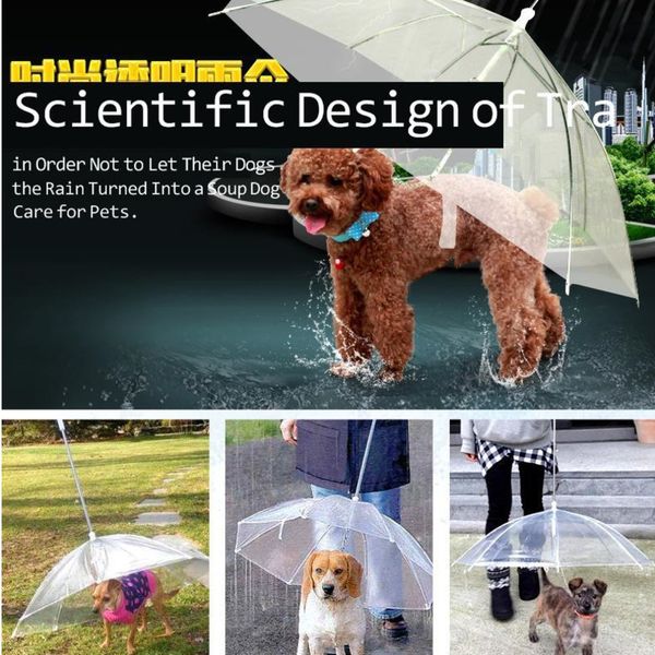 

tik tok pet umbrella built in leash dog puppy dry walking sleet snow rain clear plastic umbrellas waterproof transaparent pets rope with han, Blue