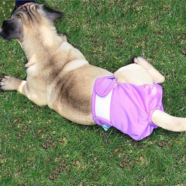 Abbigliamento per cani Cani adorabili Pantaloni fisiologici sanitari Mutande mestruali con adesivo magico Sicurezza fisica per animali domestici