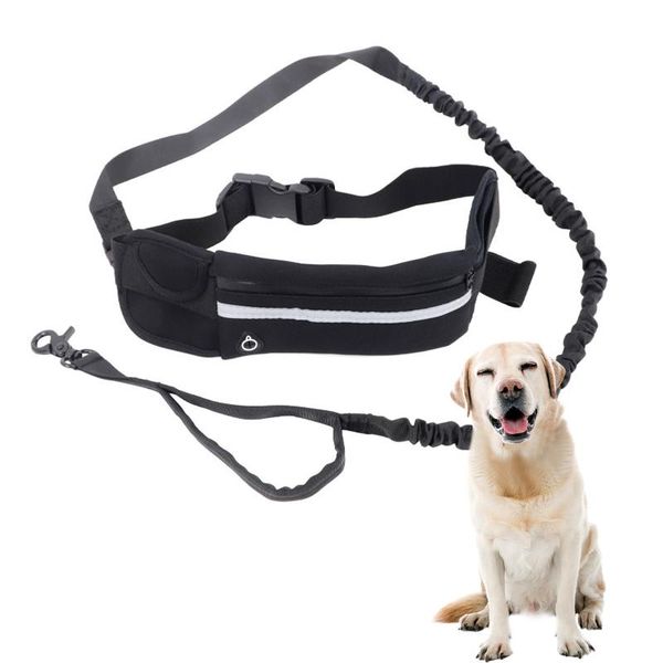 

dog collars & leashes pet hands harness leash waist pocket walking belt bag dogs leads training running ropes