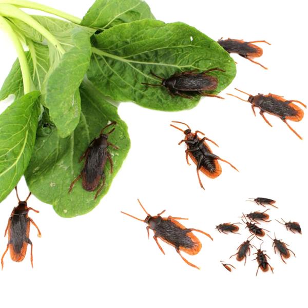 

10pcs/lot Special Lifelike Model Simulation Fake Rubber Cock Cockroach Roach Bug Roaches Toy Prank Funny Trick Joke Toys