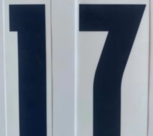 

number 17 dated print 25th april 2021, custom name/number acceptable, full patches