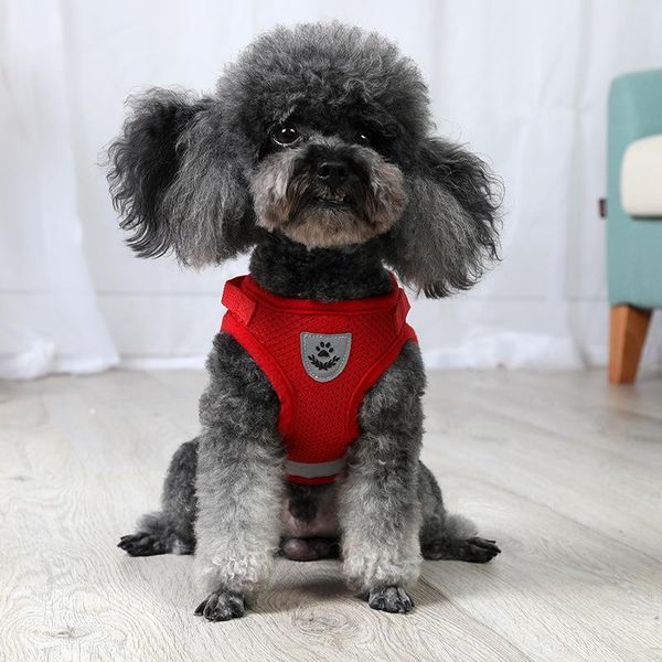 

dog collars & leashes pet harnesses breathable grid bear pattern collar vest goods