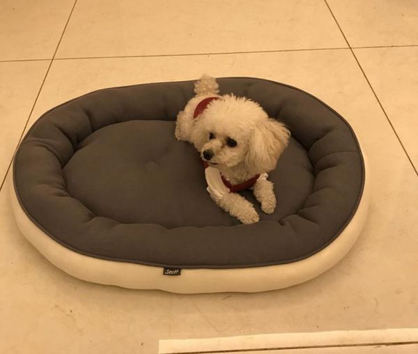 

self-warming cat and dog bed cushion for medium large dogs kennels & pens
