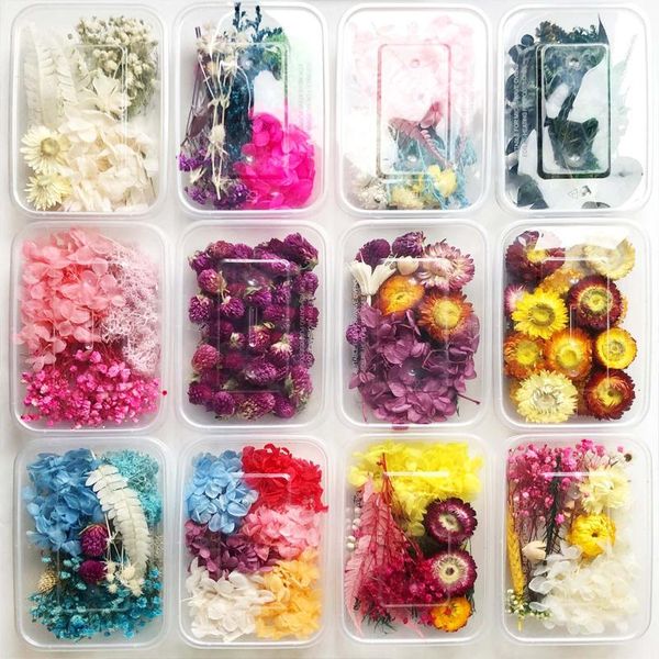 

decorative flowers & wreaths dried flower 15 styles real diy craft material package candle resin pendant necklace decoration pl